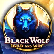 Sự kiện và giải đấu zo88 win