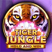 Quản lý vốn hiệu quả tại zo88 win
