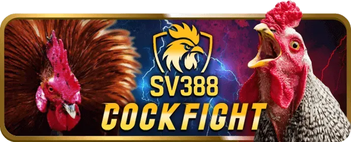 Hoàn trả hàng ngày zo88 win